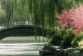 忙趁东风放纸鸢是哪首诗，忙趁东风放纸鸢是哪首诗?  搜狗问问？
