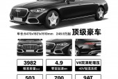 奔驰迈巴赫vs900商务费用，2020款奔驰迈巴赫vs980l商务车？