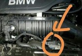 福特猛禽发动机号在什么地方，福特猛禽的发动机号？