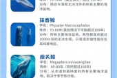 现代iqniq5费用？现代ix5图片及报价？