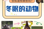 合肥二手车自动挡费用，合肥二手车个人出售2万3万？