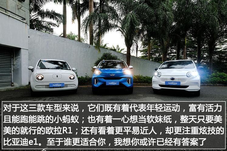 奇瑞小蚂蚁电动车费用2020？奇瑞小蚂蚁电动车费用2019？  第2张
