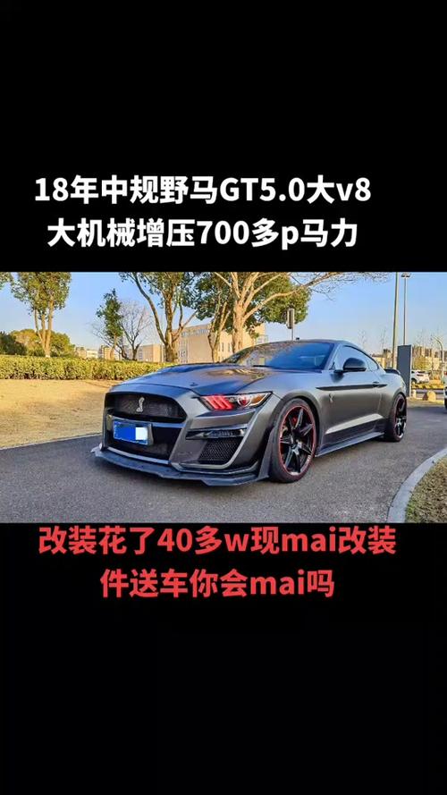 shelbygt350费用？shelbygt5002020款多少钱？  第1张