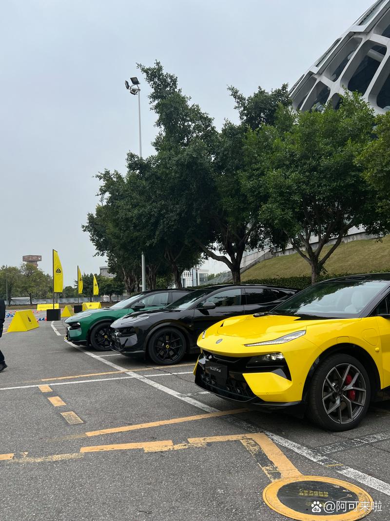 路特斯二手车25万买得到吗，路特斯二手车25万买得到吗多少钱  第1张
