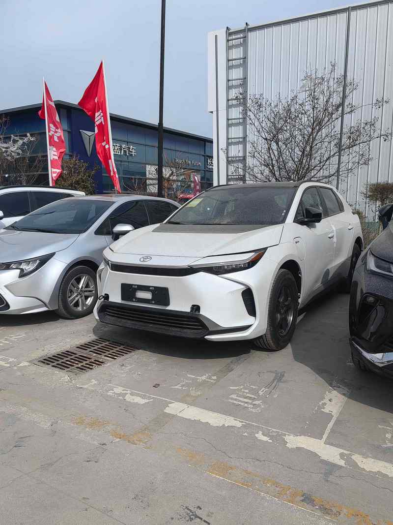 新能源车型及介绍，新能源车型及介绍视频？  第3张