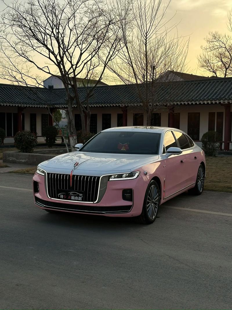 红旗q9费用多少钱一辆，红旗q9mpv新增车型报价  第2张