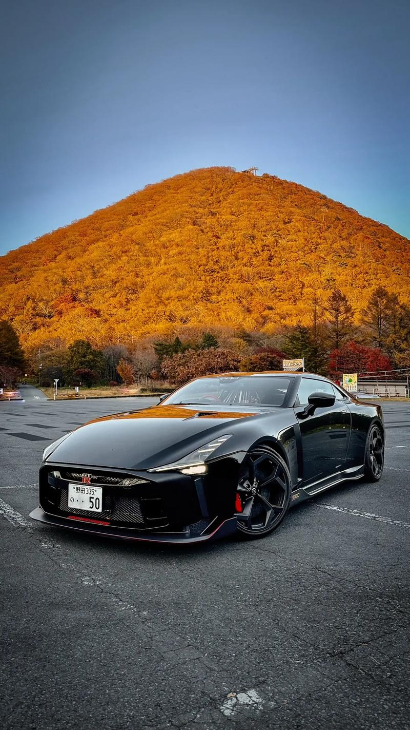 日产gtr2022费用？日产gtr2022款报价及图片？  第8张