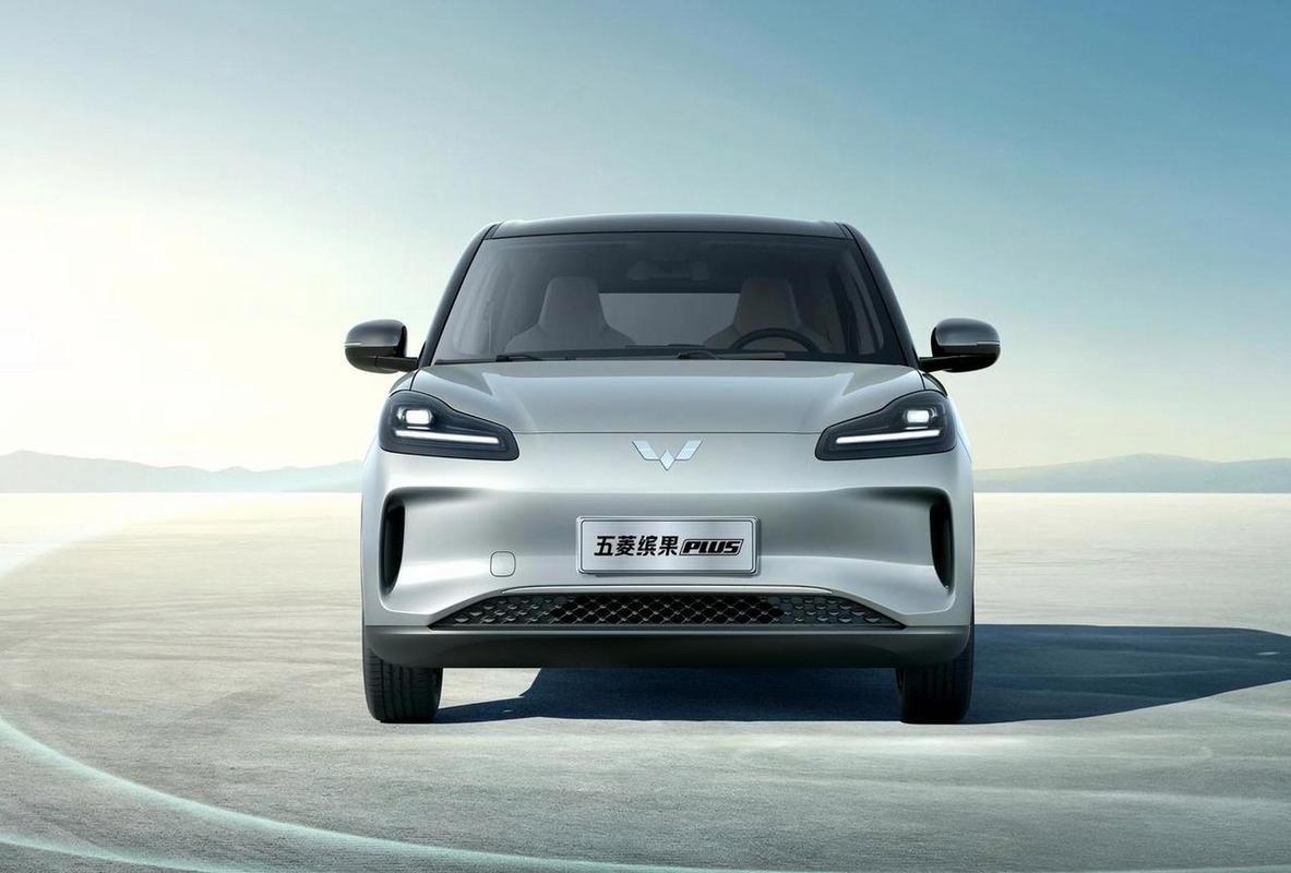 新能源续航1000公里是什么车，新能源续航1000公里是什么车啊  第4张