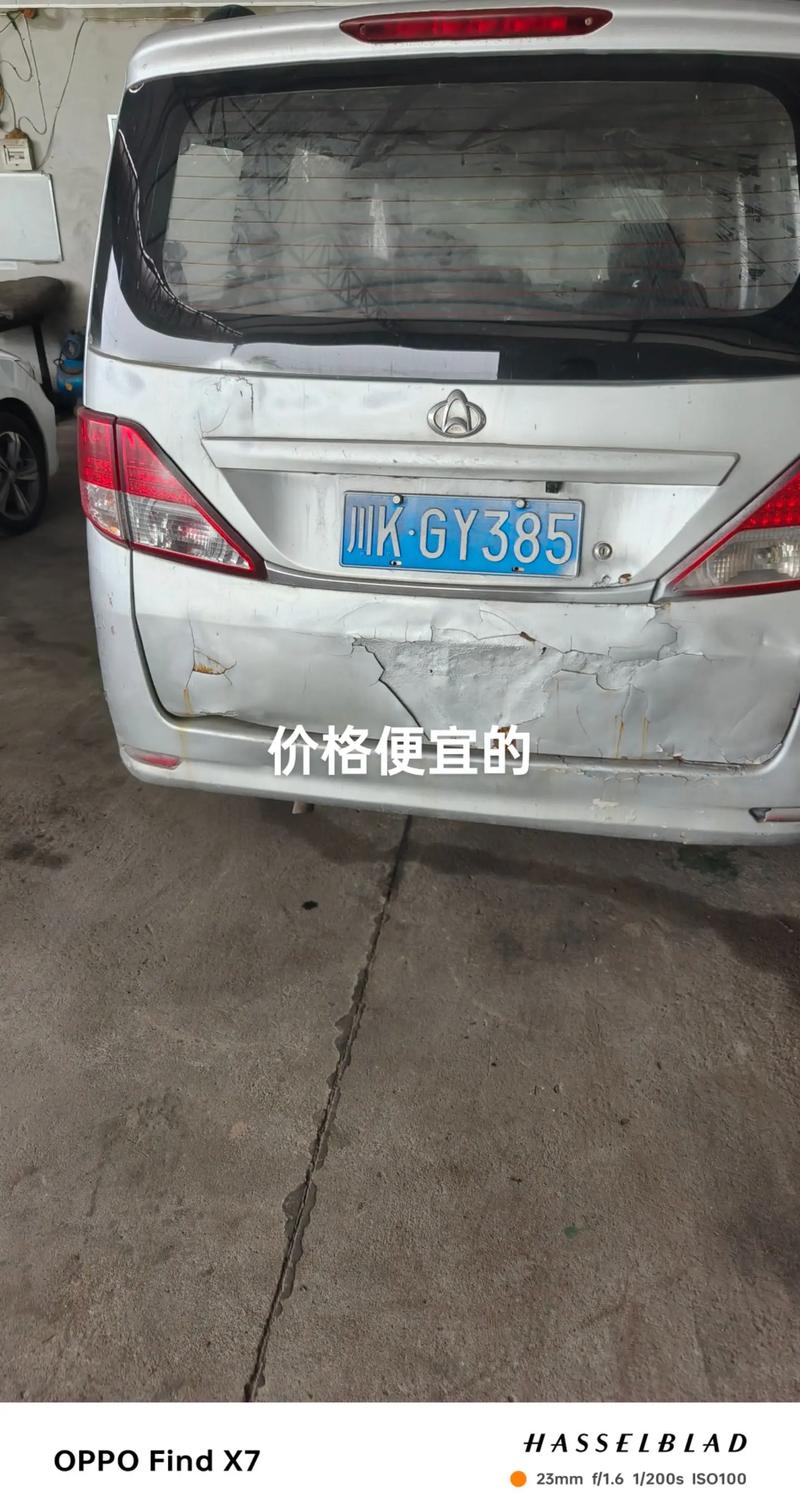 欧拉朋克猫大概费用，欧拉朋克猫价钱  第7张