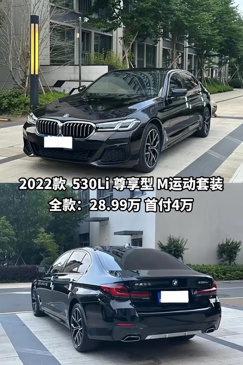宝马530费用都有什么颜色？宝马530新款2021款有几个颜色？  第6张