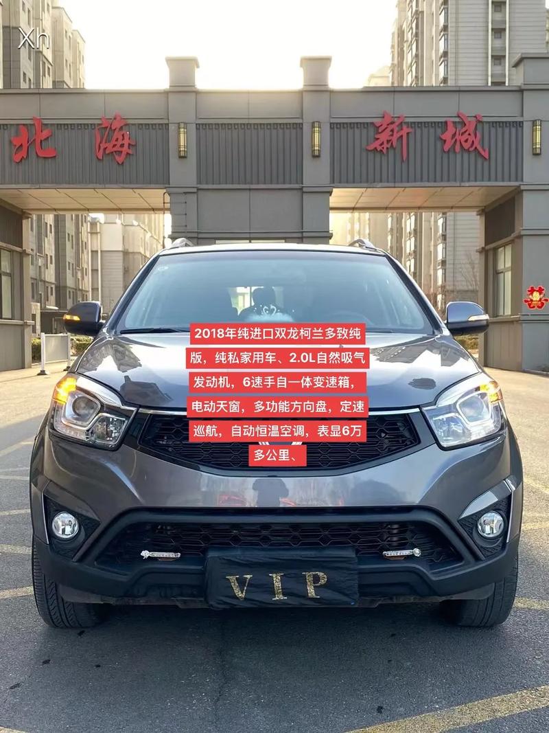 双龙是什么感觉？双龙 是什么意思？  第1张