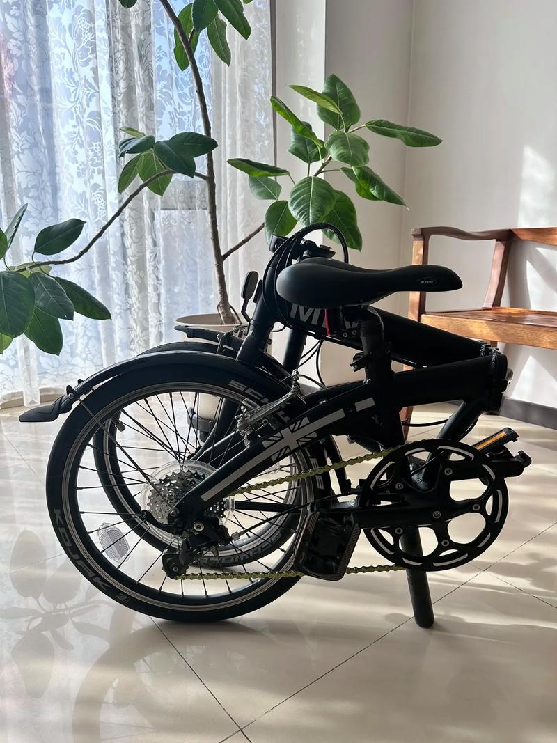 法拉利自行车是贴牌车吗，colnago法拉利自行车  第1张