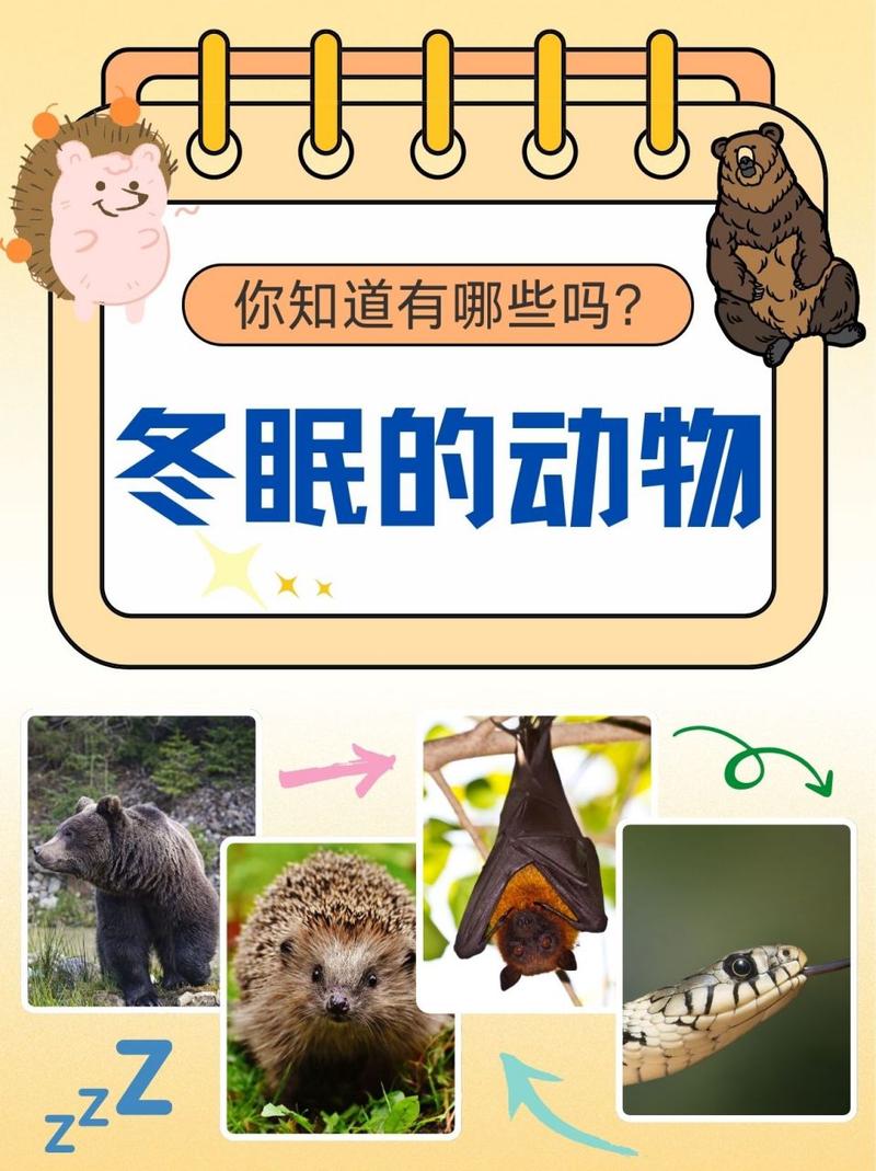 合肥二手车自动挡费用，合肥二手车个人出售2万3万？  第1张
