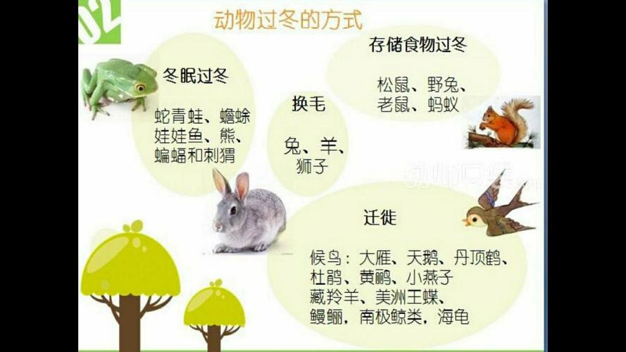合肥二手车自动挡费用，合肥二手车个人出售2万3万？  第4张