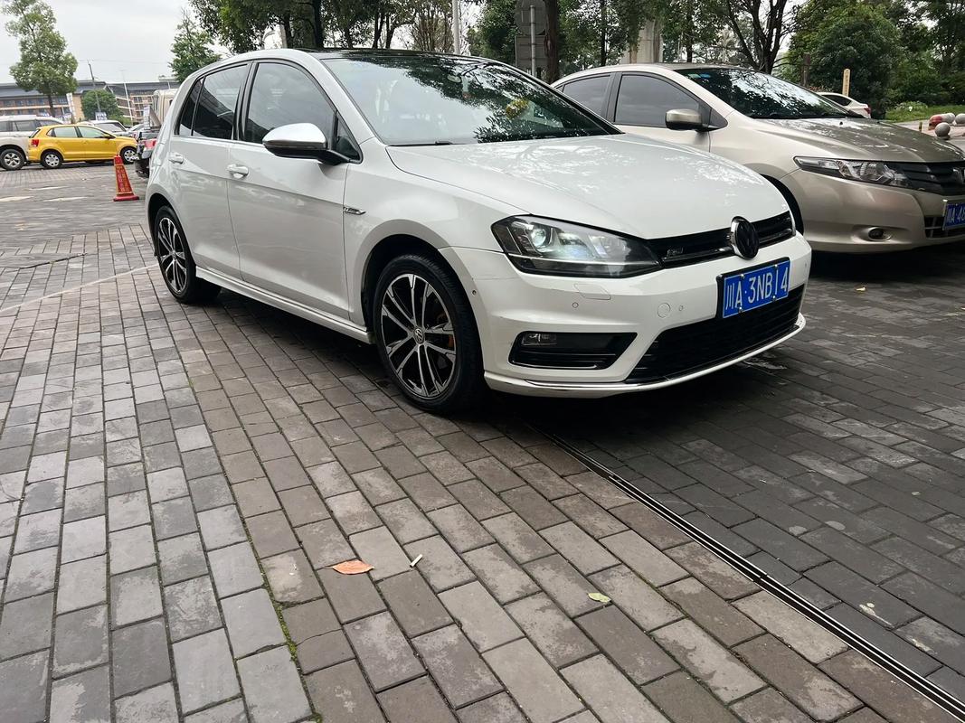 大众高尔夫性能版？大众高尔夫性能版图片？  第4张
