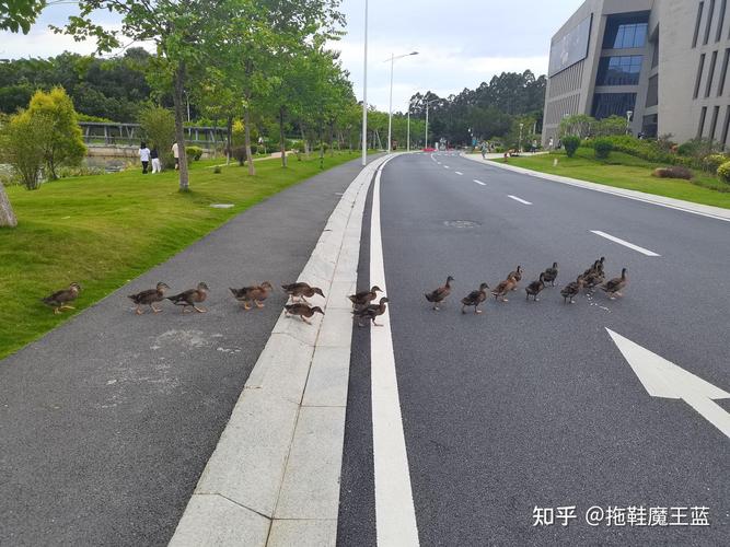 为什么不去北汽福田上班，北汽福田员工？  第5张