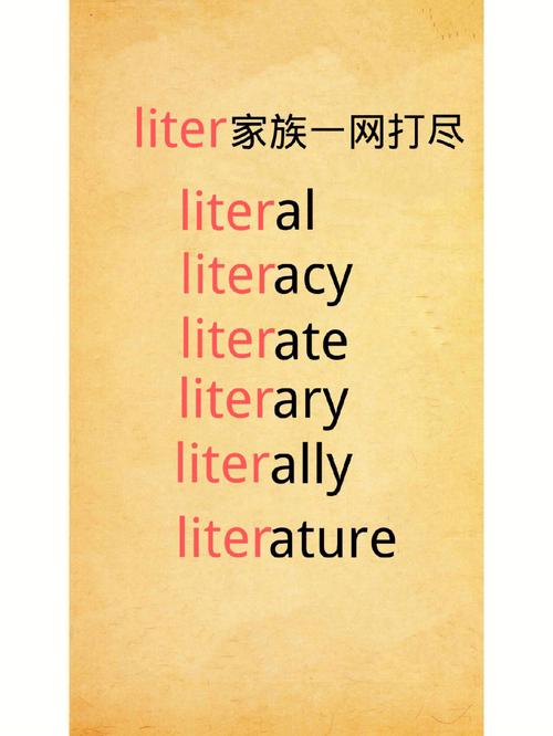 literally什么意思中文翻译，literally的中文翻译  第1张