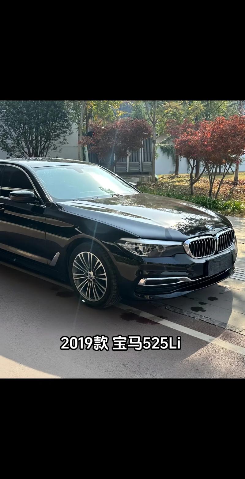 新款宝马5系li费用，宝马5系新宝马费用  第6张