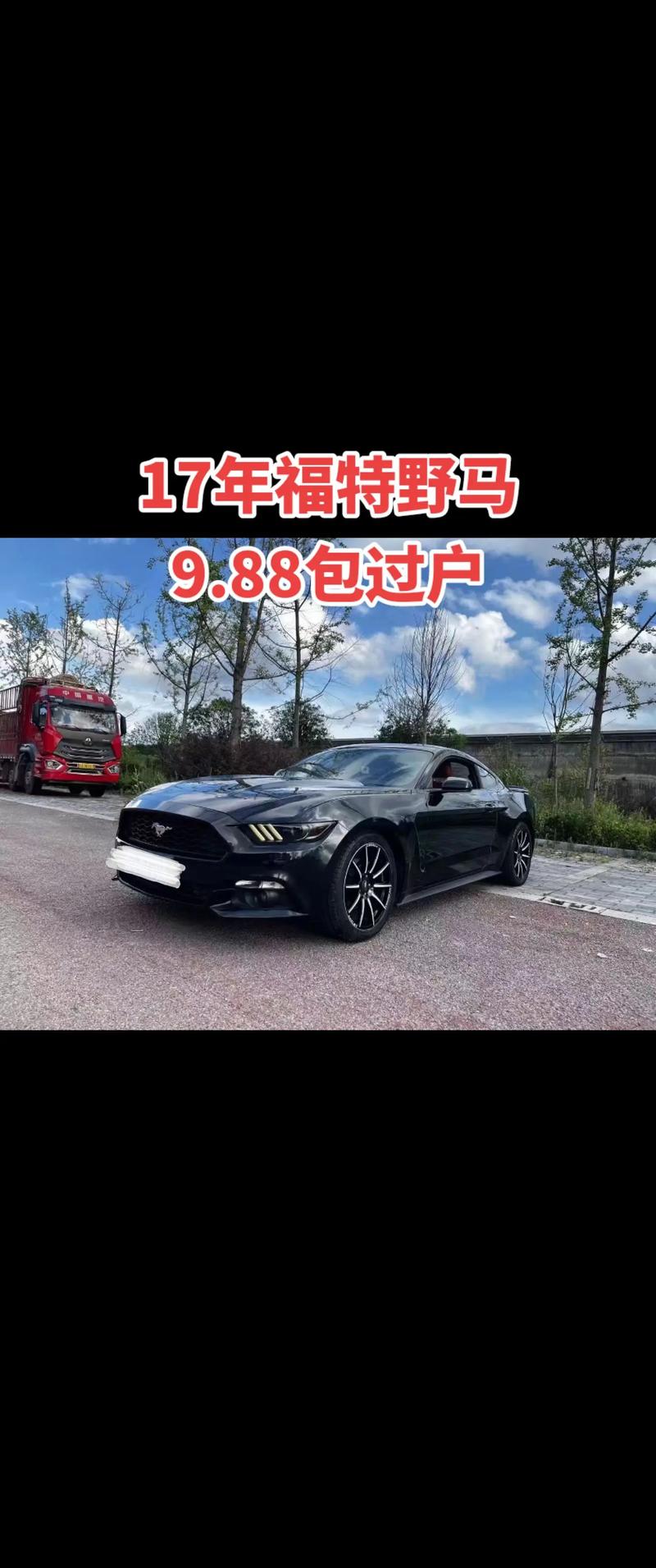 13年福特野马费用，13年野马f10多少钱,使用怎么样  第4张