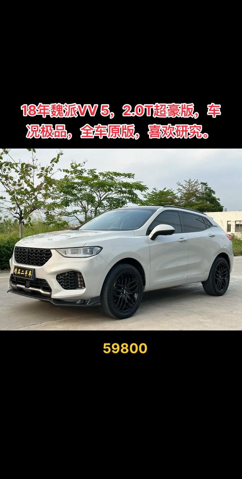 长城weyvv5费用落地，长城weyvv5费用和图片？  第2张