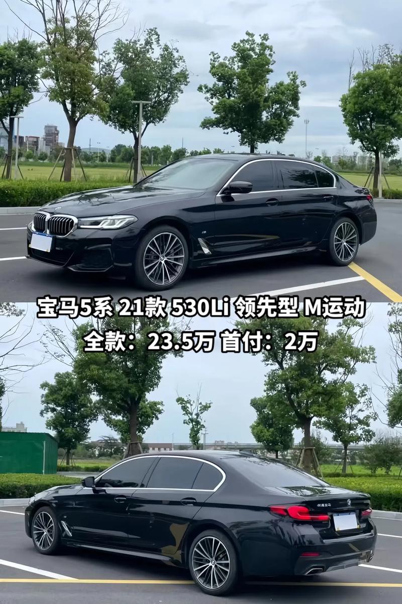 宝马525li费用2021款落地价，宝马525li费用2021款落地费用？  第2张