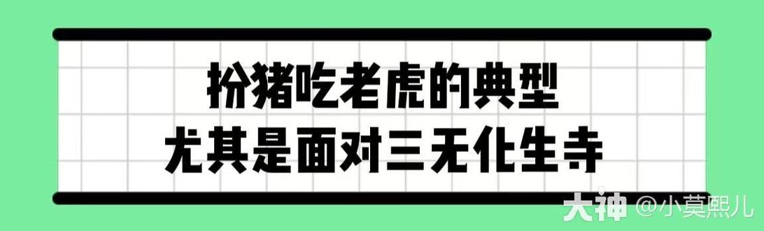 宝马5系416是什么颜色，宝马5系颜色代码416  第3张