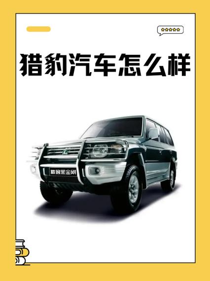 猎豹汽车2021最新款，猎豹车型报价  第6张