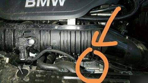福特猛禽发动机号在什么地方，福特猛禽的发动机号？  第1张