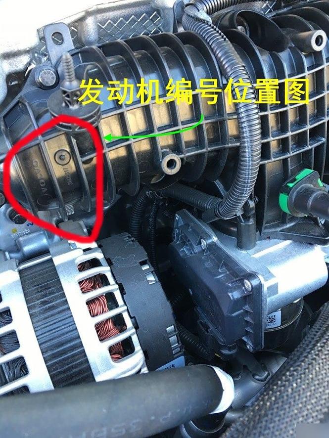 福特猛禽发动机号在什么地方，福特猛禽的发动机号？  第5张