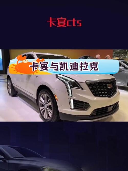 保时捷车牌长什么样子？保时捷车牌图片大全？  第6张