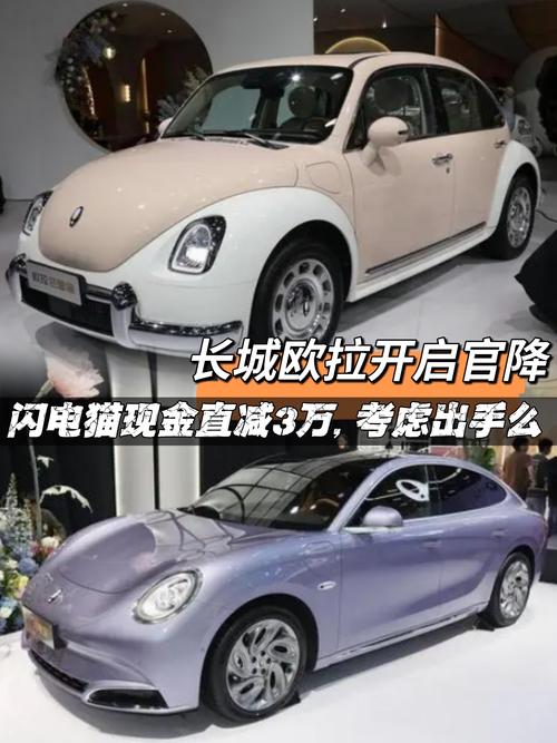 长城欧拉好不好，长城欧拉值不值得购买？  第2张