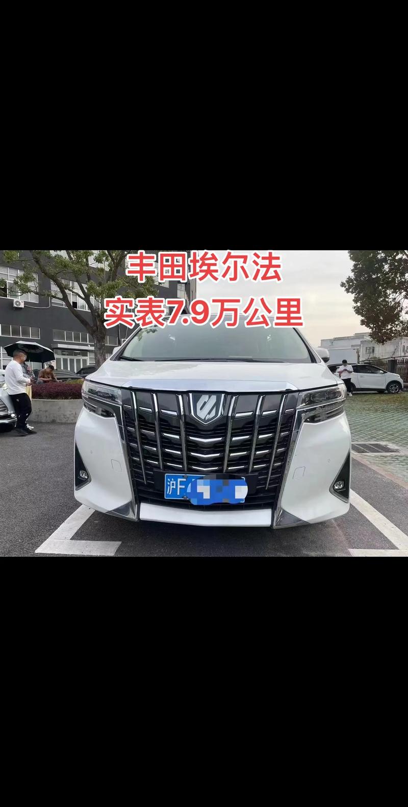 丰田埃尔法商务汽车费用，丰田埃尔法商务汽车费用表  第5张