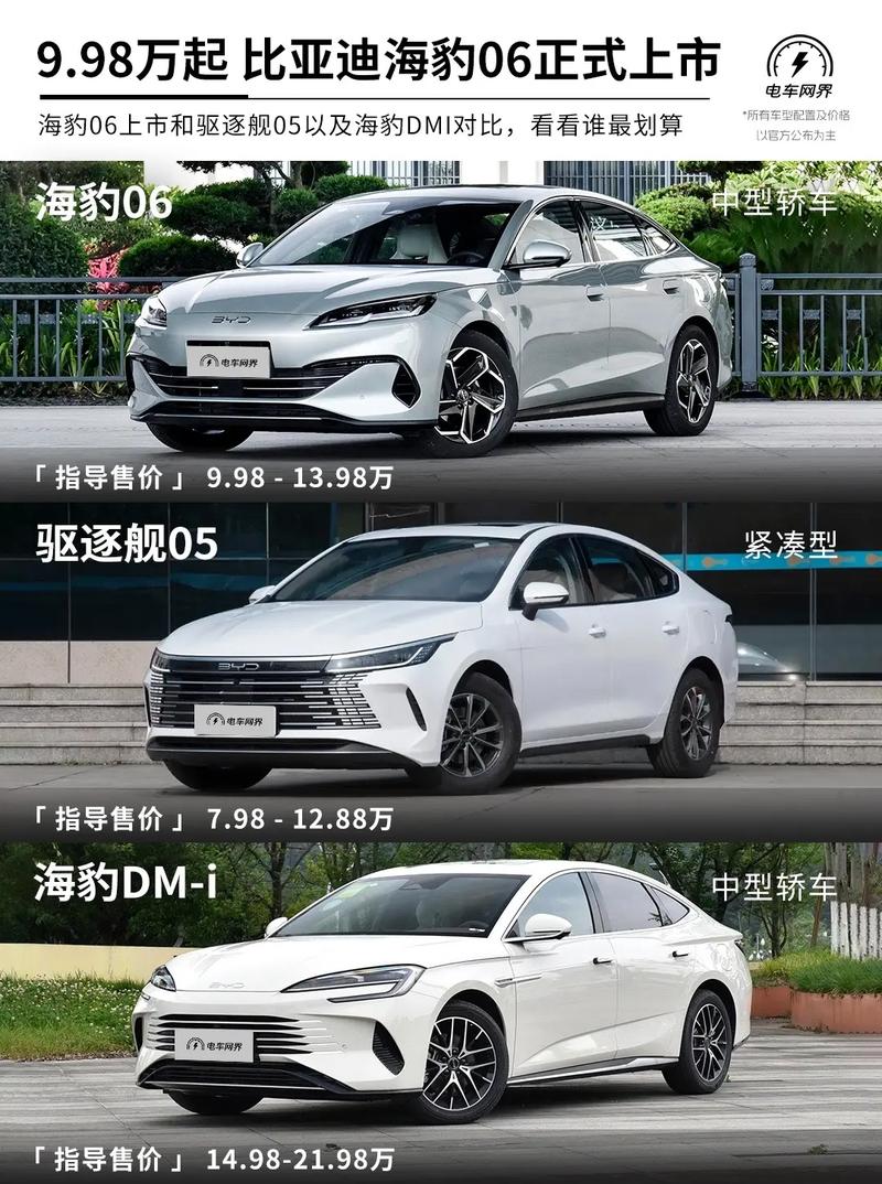 比亚迪纯电动2023款最低报价，比亚迪2020新款纯电  第3张