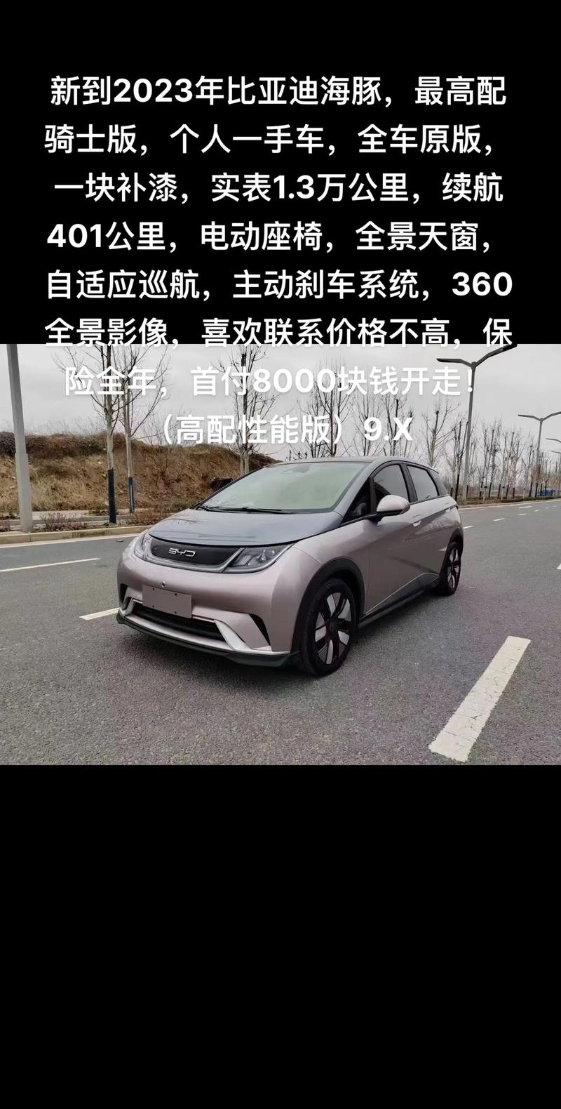 比亚迪纯电动2023款最低报价，比亚迪2020新款纯电  第8张