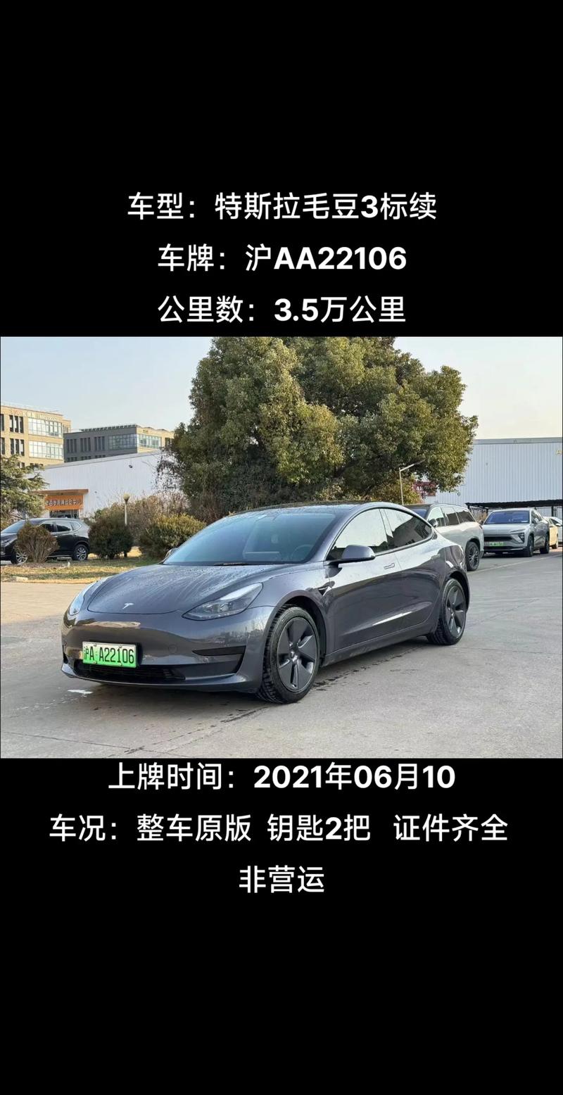 黑色特斯拉的费用多少钱一辆，纯黑色特斯拉？  第6张