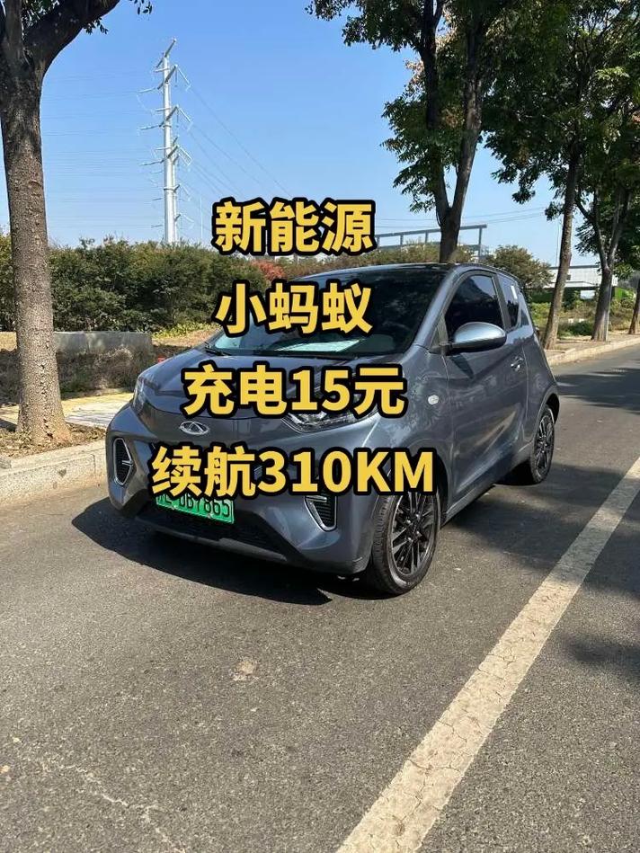 奇瑞小蚂蚁新能源汽车2022款费用，奇瑞小蚂蚁电动汽车费用报价？  第4张