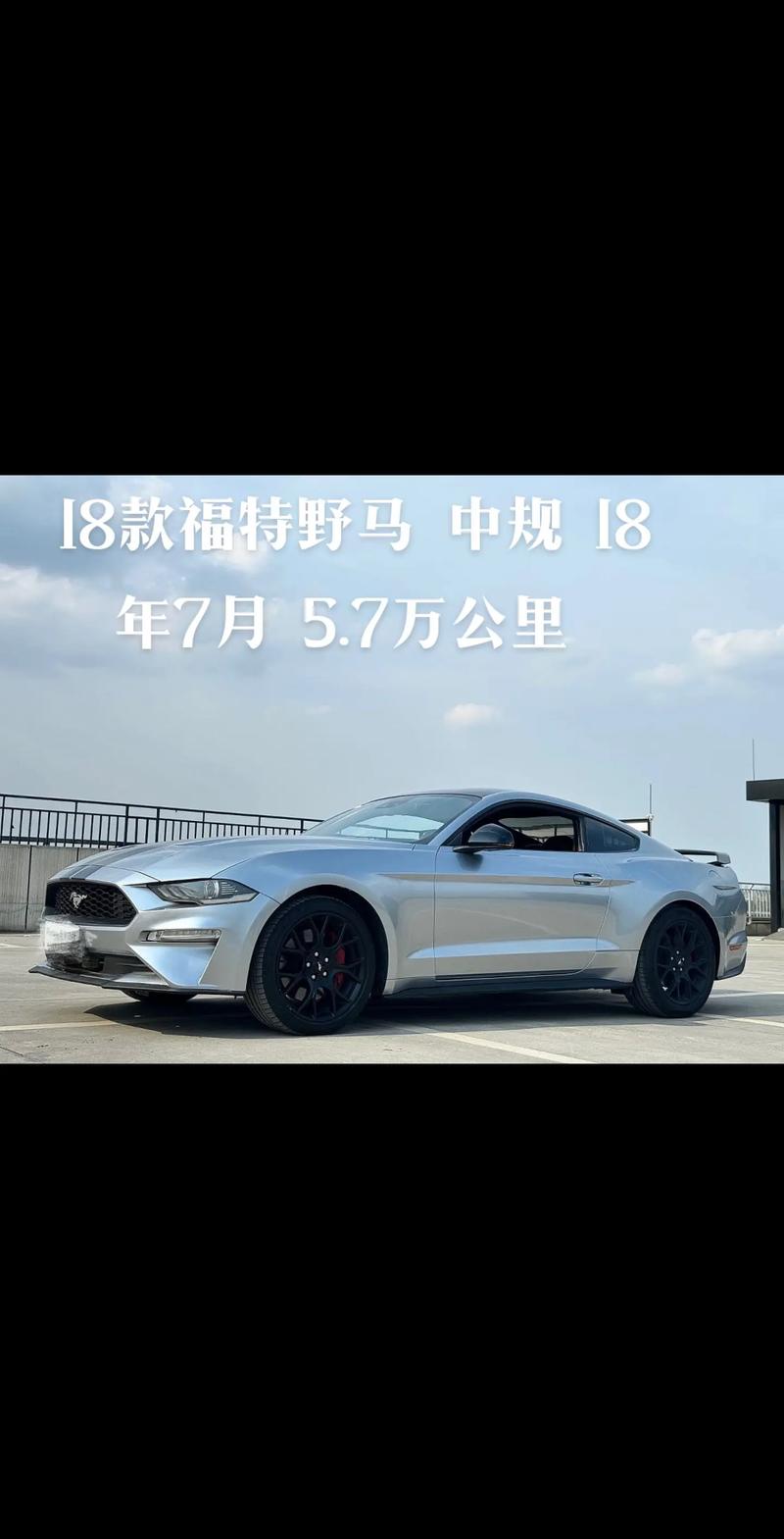 福特野马费用多少钱一辆，福特野马价位多少  第3张