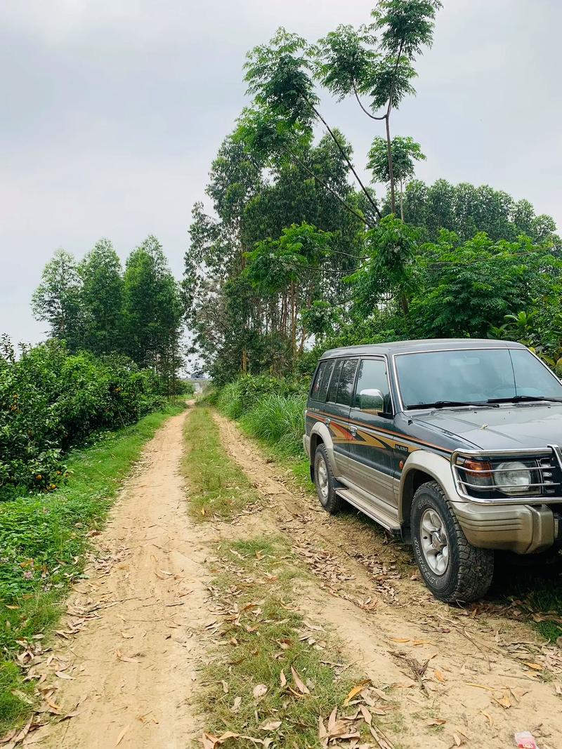 三菱汽车suv2020款大七座费用，2020款三菱大七座多少钱  第2张