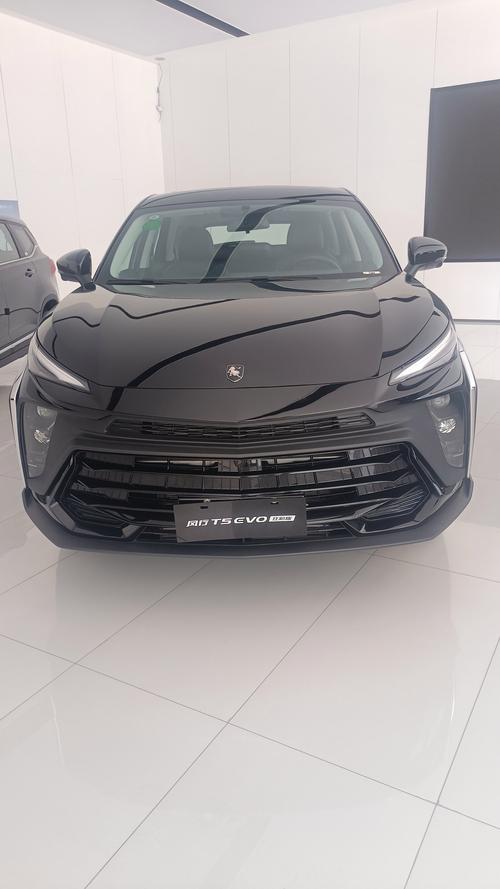 风行evo费用，风行 evo  第1张