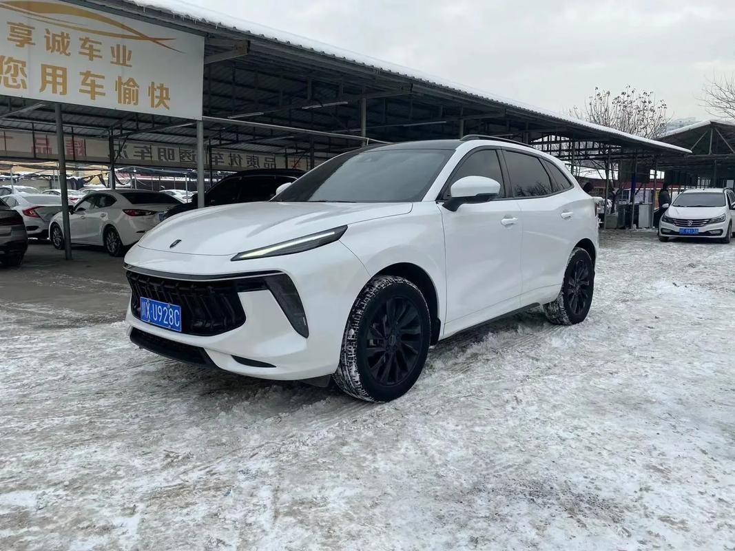 风行evo费用，风行 evo  第5张