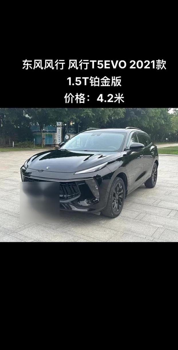风行evo费用，风行 evo  第7张