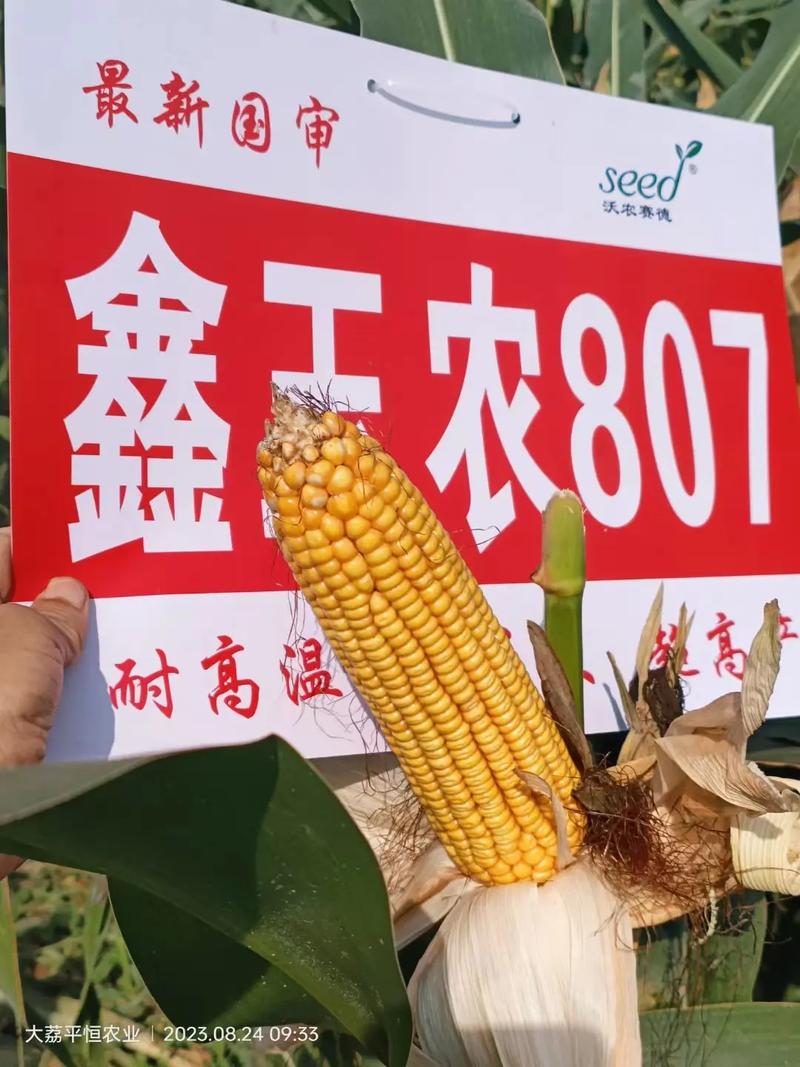 奔驰809版本什么意思，奔驰c级808版,809版是什么意思？  第8张