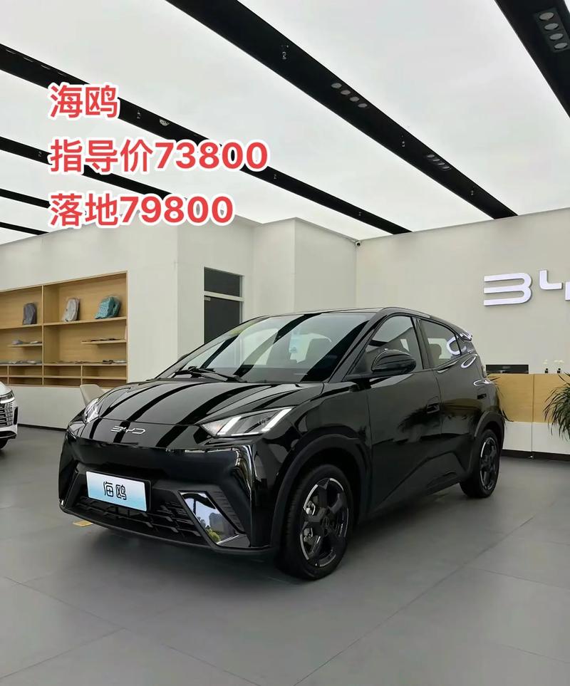查看比亚迪汽车费用，比亚迪市场费用  第5张