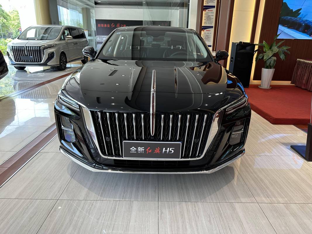 红旗名仕当年费用，红旗名仕轿车  第5张