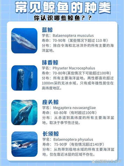 现代iqniq5费用？现代ix5图片及报价？  第1张