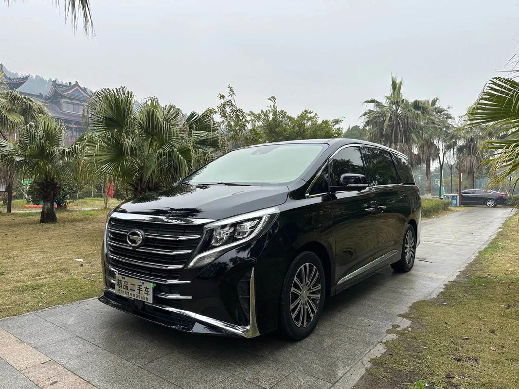 广汽传祺gm8费用320t，广汽传祺gm8费用多少钱  第2张
