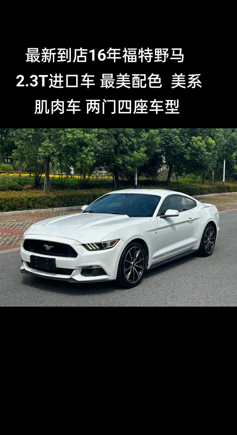 shelbygt350费用，skyline 350gt8？  第4张