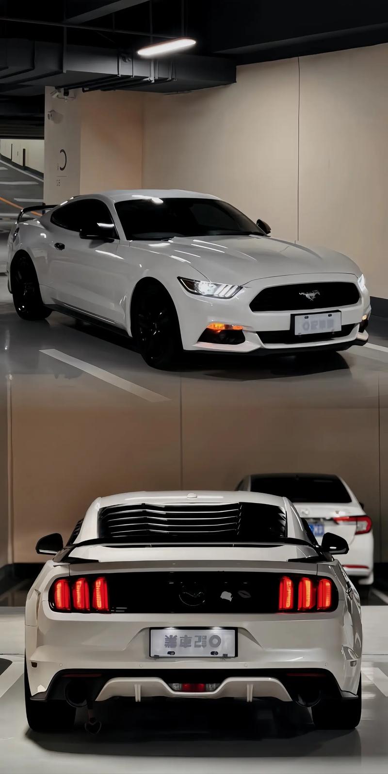 shelbygt350费用，skyline 350gt8？  第5张