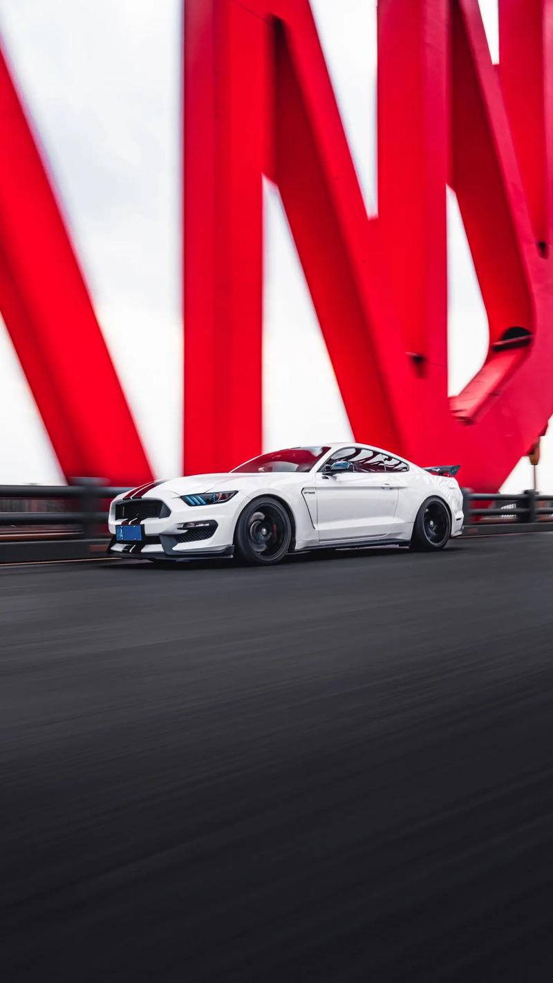 shelbygt350费用，skyline 350gt8？  第6张
