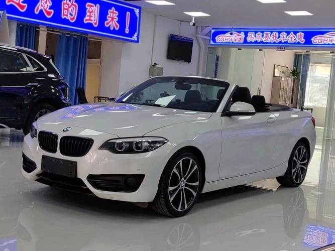 宝马敞篷225i费用？225i 宝马敞篷多少钱？  第6张